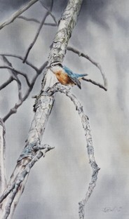Nuthatches Protest-Ute Bartels.jpg
